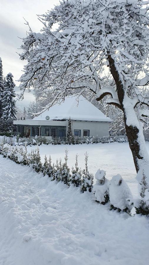 Bambu Lodge @ Ossiachersee Bodensdorf Esterno foto